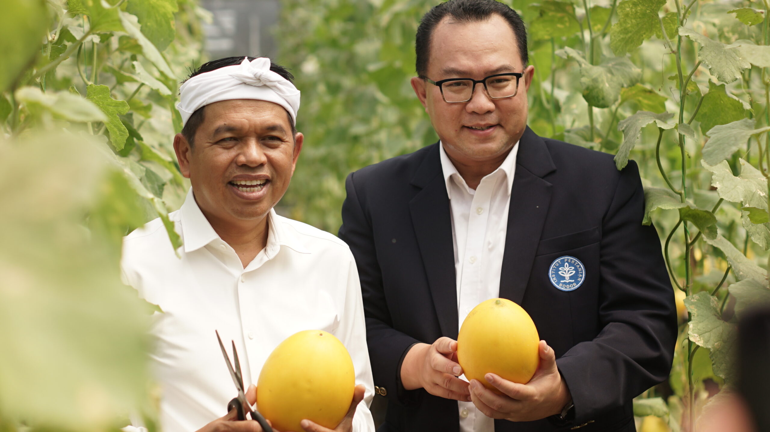 Dedi Mulyadi, Gubernur Jawa Barat Petik Melon di ATP IPB